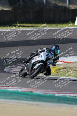 media/Mar-17-2024-Fastrack Riders (Sun) [[c7d6f8c14c]]/Level 2/Turn 6/